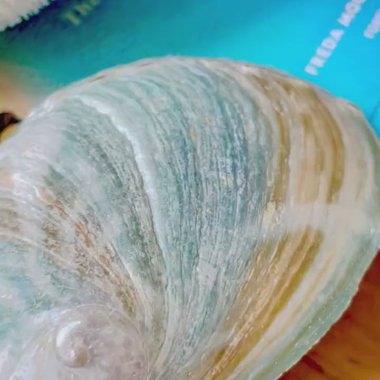 BLUE GREEN RAW Abalone Shells *All Sizes* Natural For Iridescent Silver Mermaid Seashell Coastal Décor Gift Sage Dish Turquoise Aqua