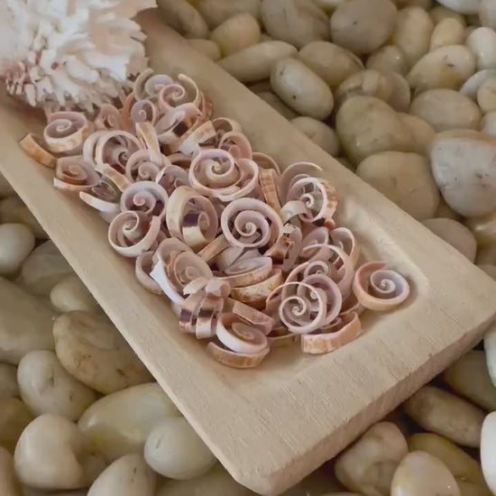 SWIRLY SPIRAL CUT Shells *100 Slices* .75-1" Natural Pink Color Small Craft Seashells Strombus Bulk Coastal Beach Home Décor