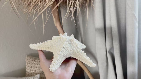 Knobby Starfish 100% Real XS-XXL 2-10" Off White/Tan Color Crafts & Coastal Décor Star Fish Wedding Beach Nautical Stars Small Medium Large