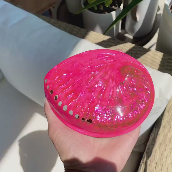 Polished Hot Pink Abalone Shell - Iridescent Coastal Décor (5-5.5")