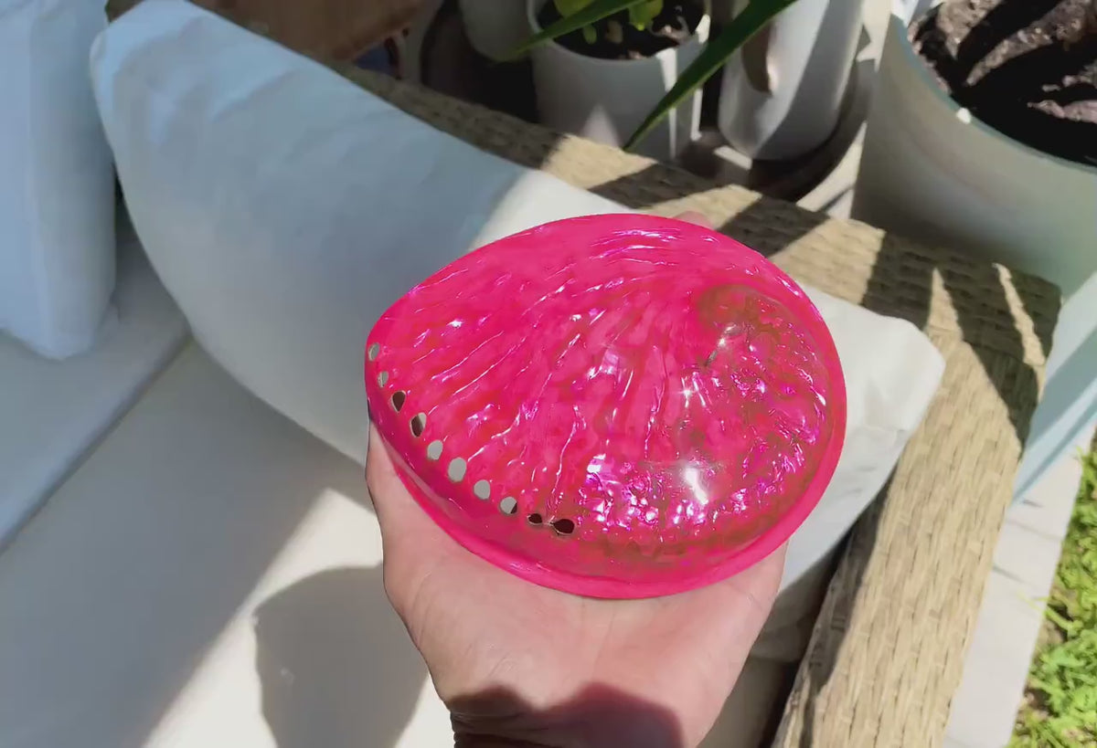Polished Hot Pink Abalone Shell - Iridescent Coastal Décor (5-5.5")