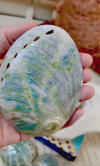 BLUE GREEN BUFFED High Shine Abalone Shells *All Sizes* Natural Iridescent Silver Mermaid Seashell Coastal Décor Gift Sage Dish
